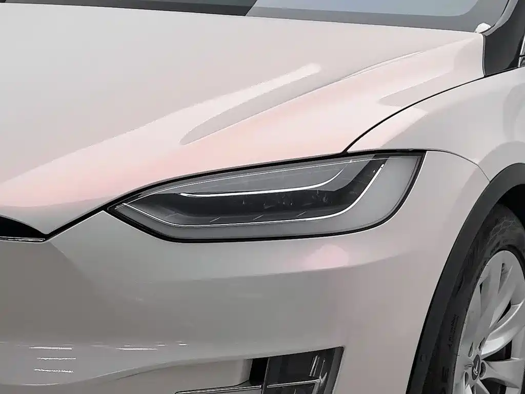 Tesla Model X — миниатюра 7