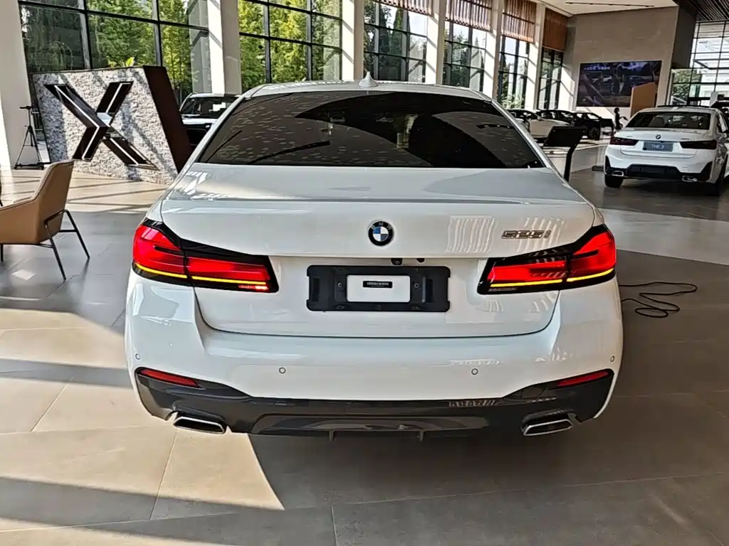 BMW 5 Series (Import) — миниатюра 6
