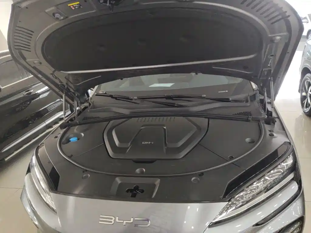 BYD PLUS New Energy — миниатюра 20