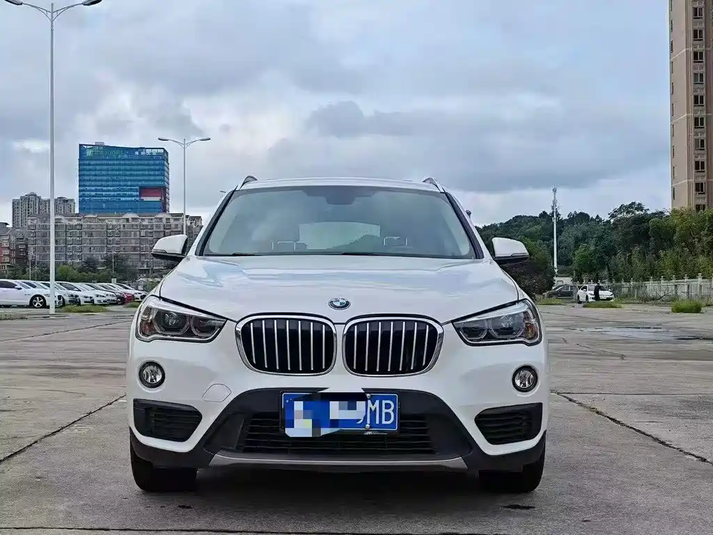 BMW X1 — миниатюра 2
