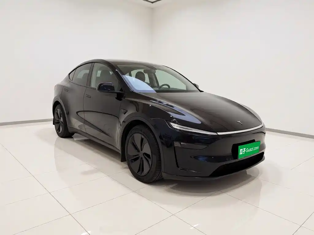 Tesla Model Y — миниатюра 3