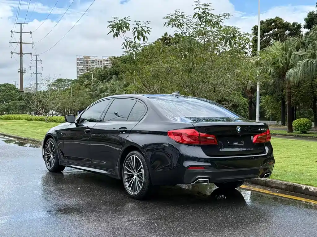BMW 5 Series 5 2019 530Li Lead M Sport