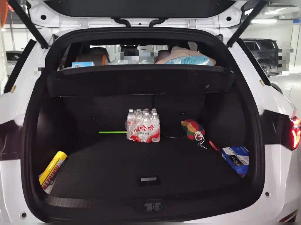 BYD Pro New Energy — миниатюра 20