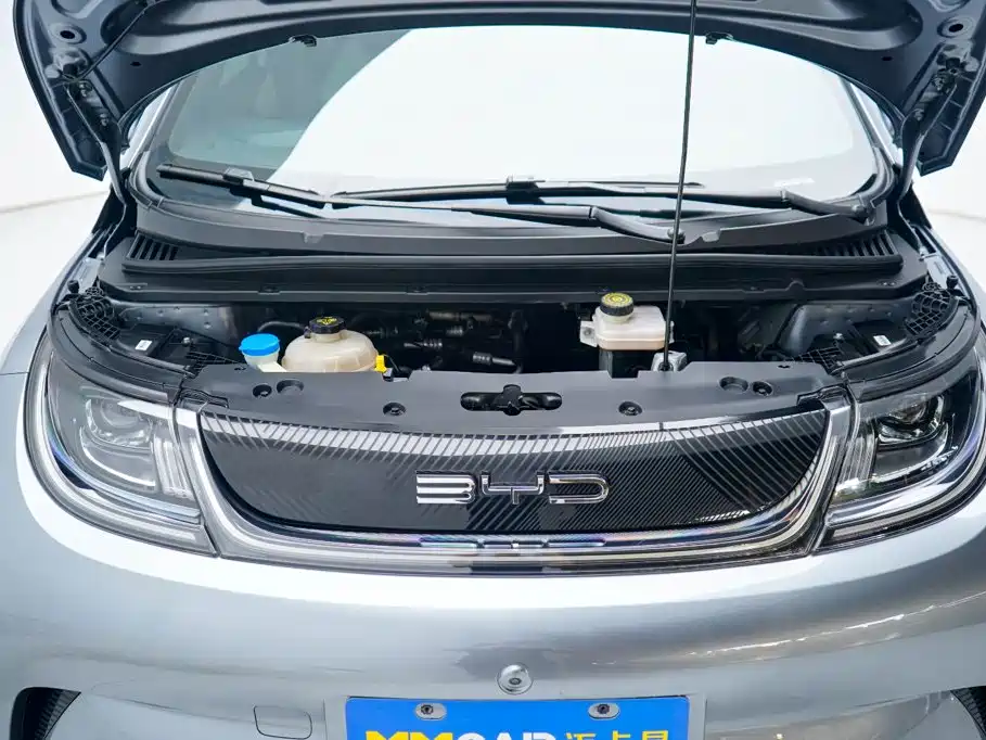 BYD Dolphin — миниатюра 8