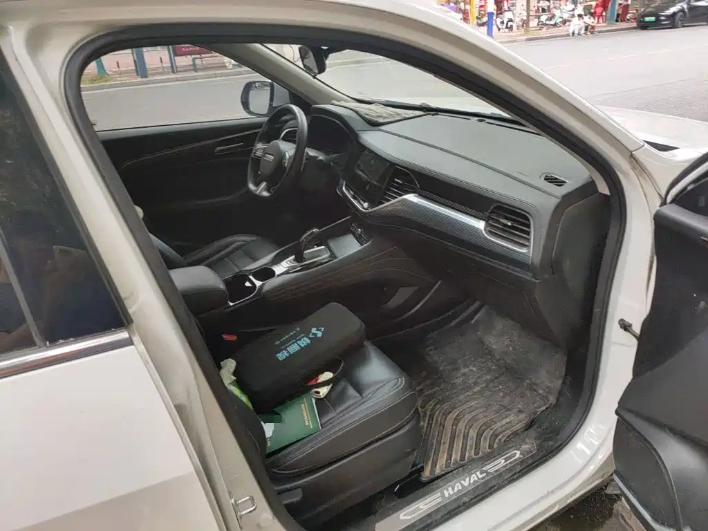 Haval F7x — миниатюра 19
