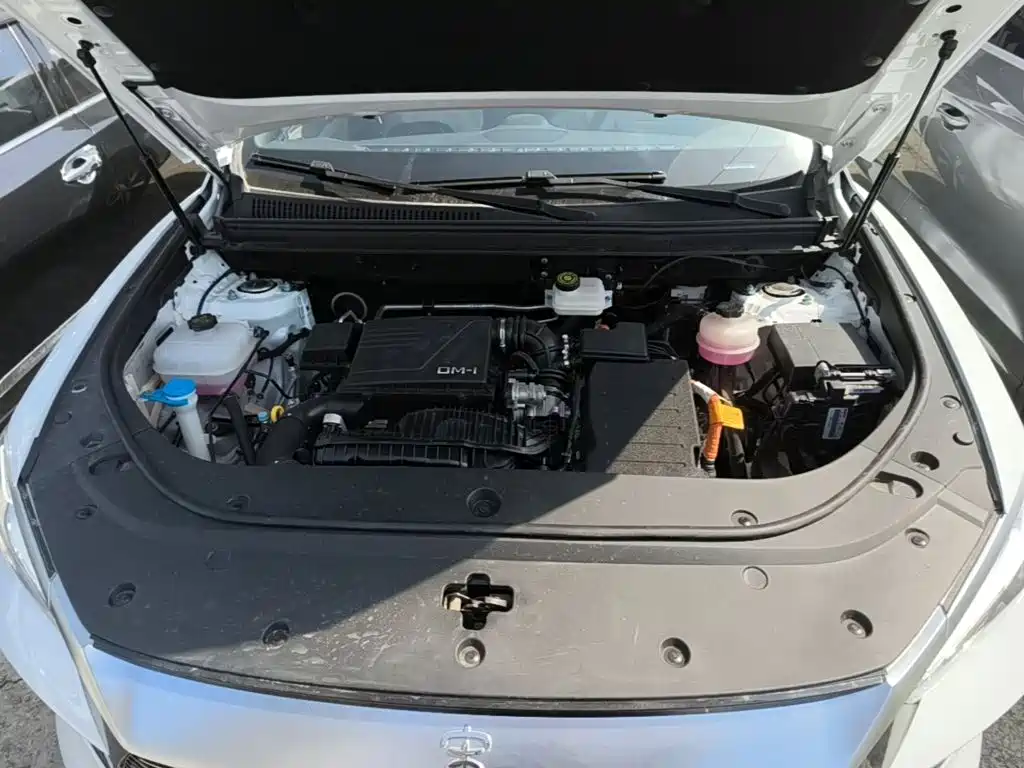 BYD Pro New Energy — миниатюра 20