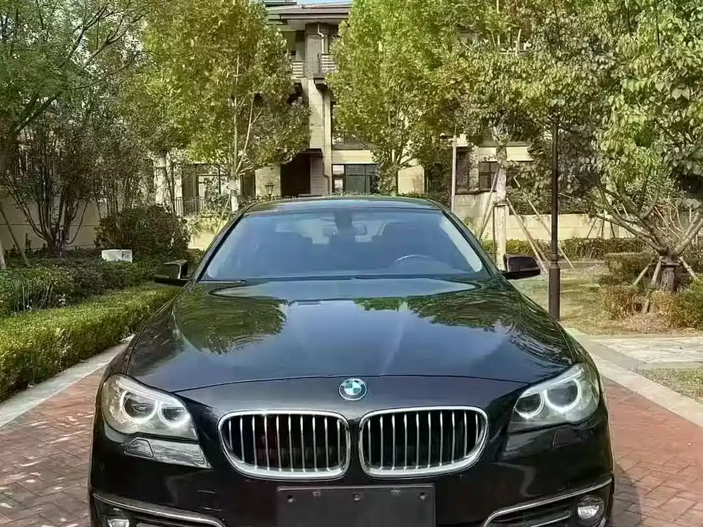 BMW 5 Series 5 2013 525Li Luxury