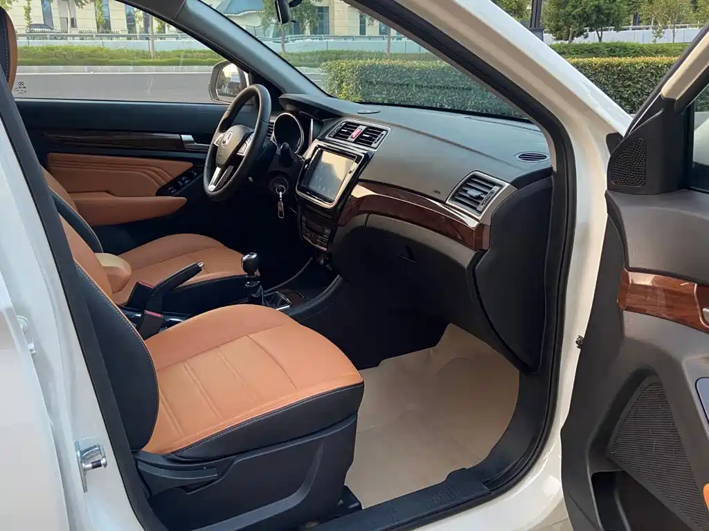 BAW Weiwang S50 — миниатюра 6