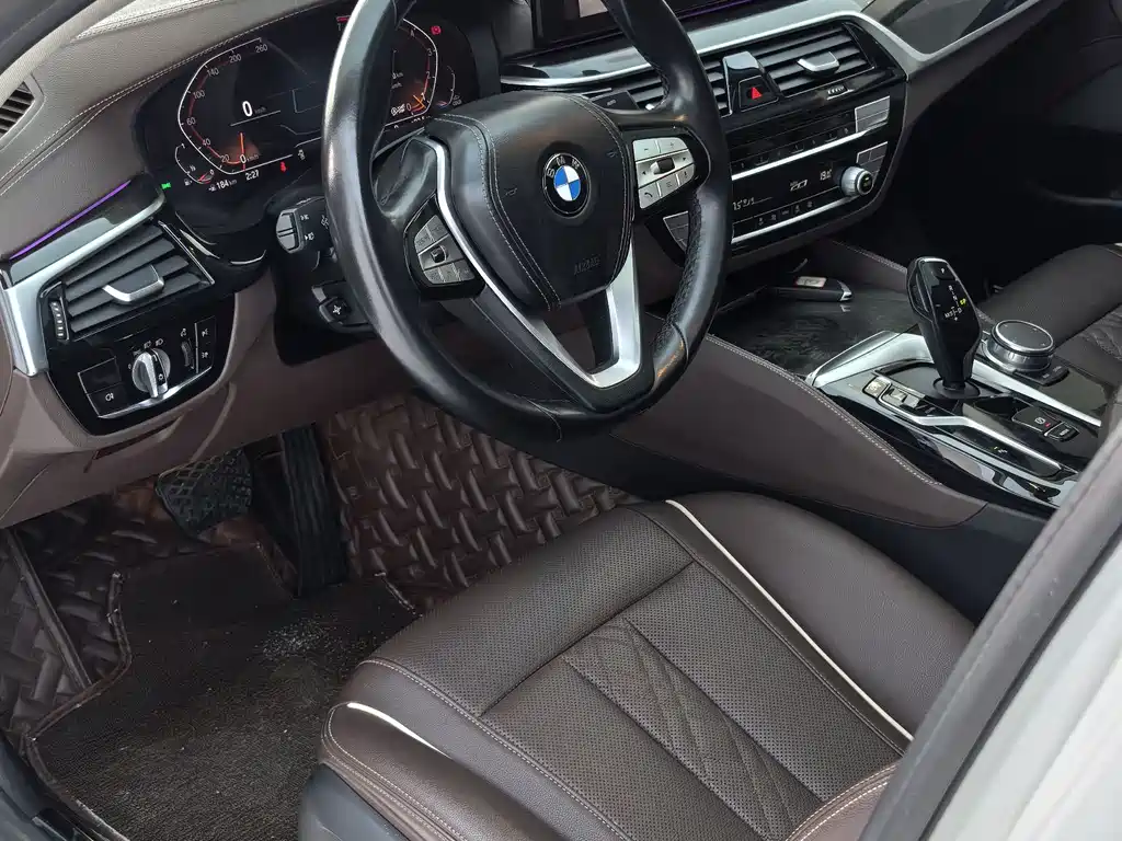 BMW 5 Series 5 2021 525Li Luxury