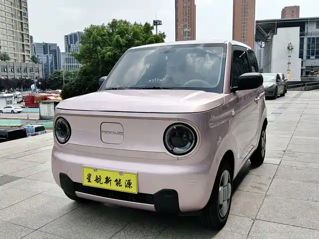 2024 Geely LC (Panda)