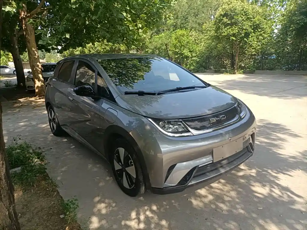 BYD Dolphin — миниатюра 4