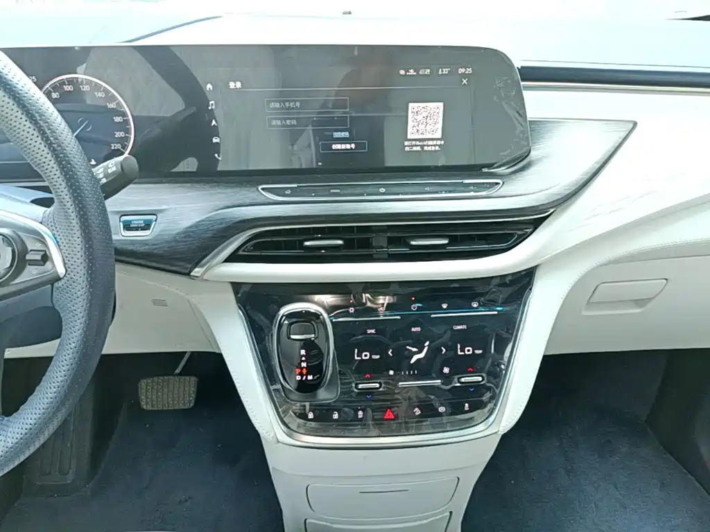 Buick GL8 — миниатюра 13