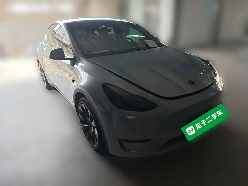 Tesla Model Y — миниатюра 6