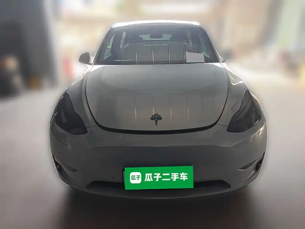 Tesla Model Y — миниатюра 5
