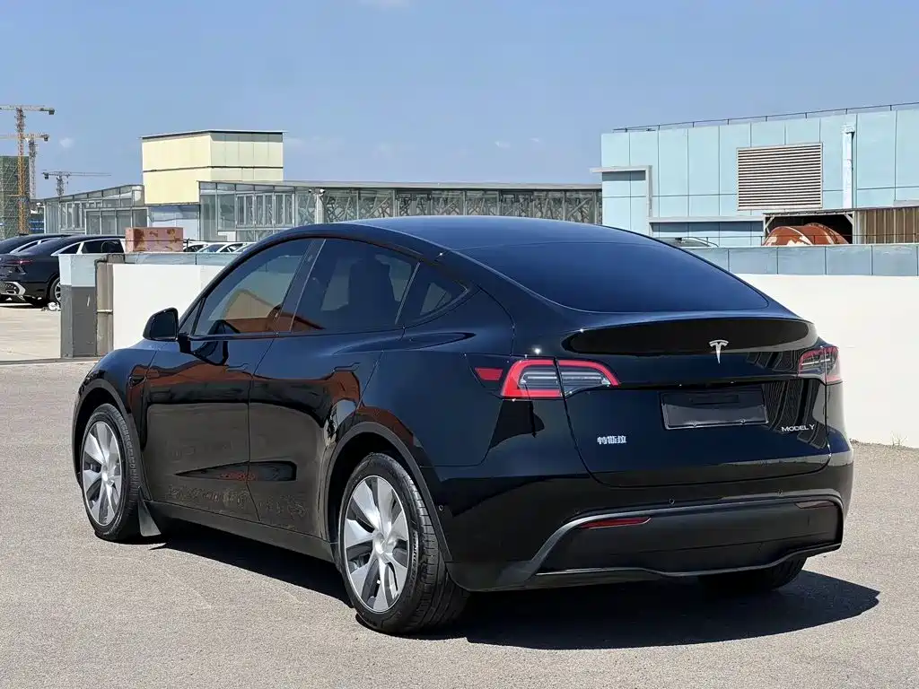 Tesla Model Y — миниатюра 2