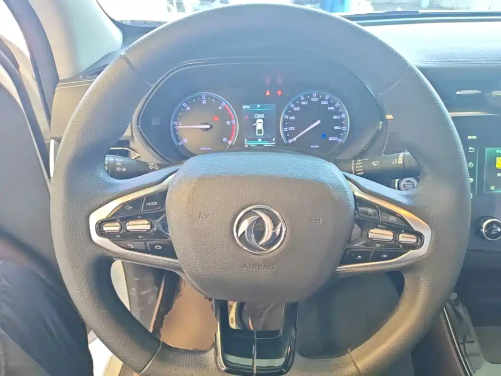Dongfeng Rich 7 — миниатюра 11