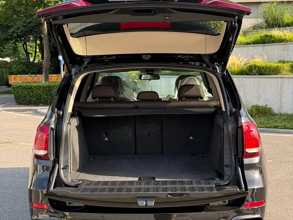BMW X5 (Import) — миниатюра 18