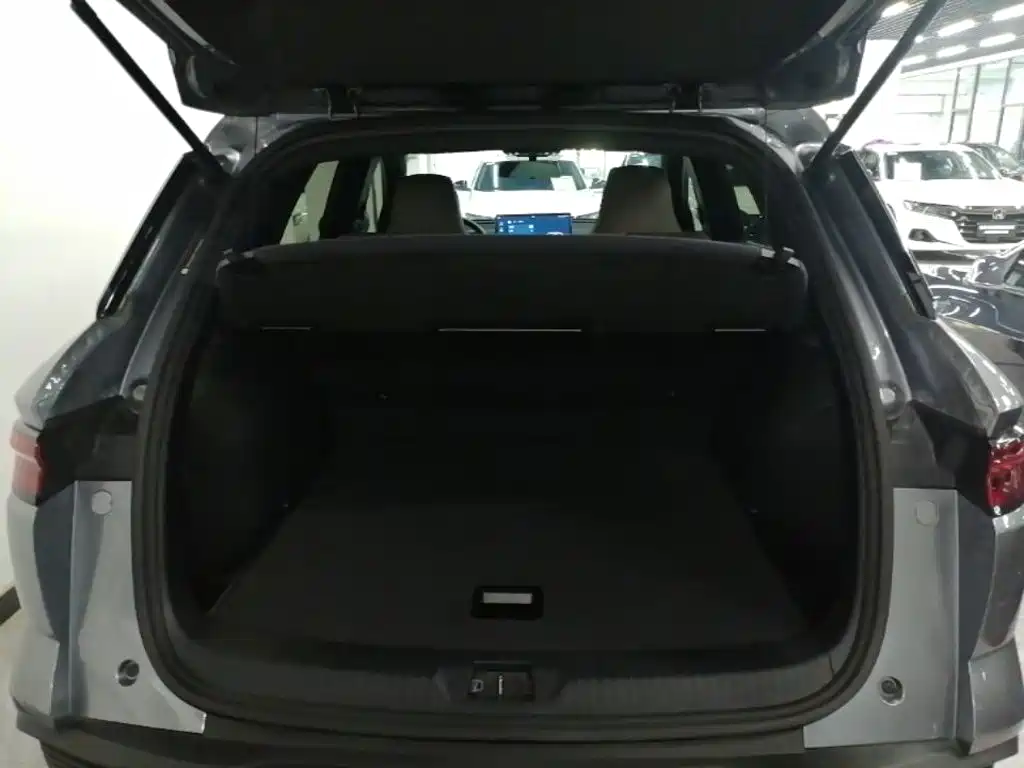 BYD Pro New Energy — миниатюра 19