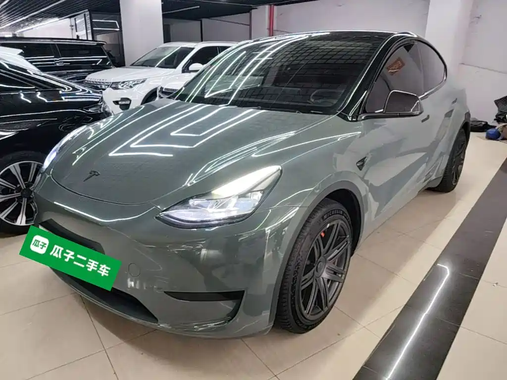 Tesla Model Y — миниатюра 2