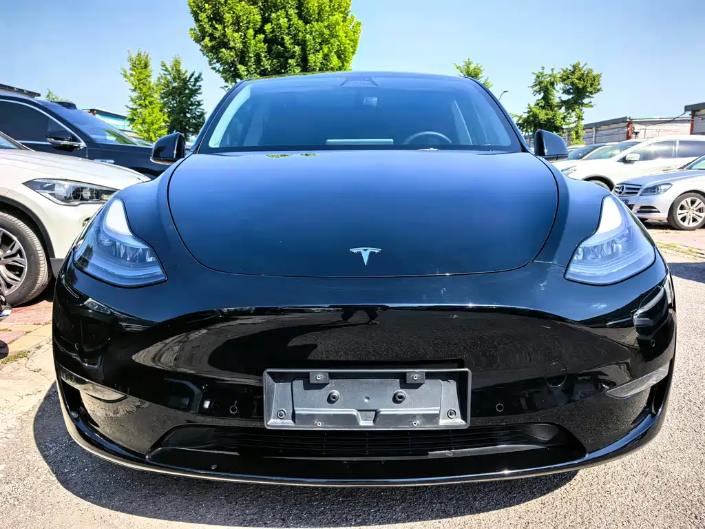 Tesla Model Y — миниатюра 2