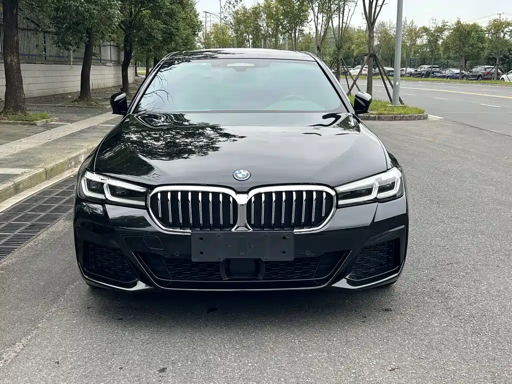 BMW 5 Series New Energy — миниатюра 2