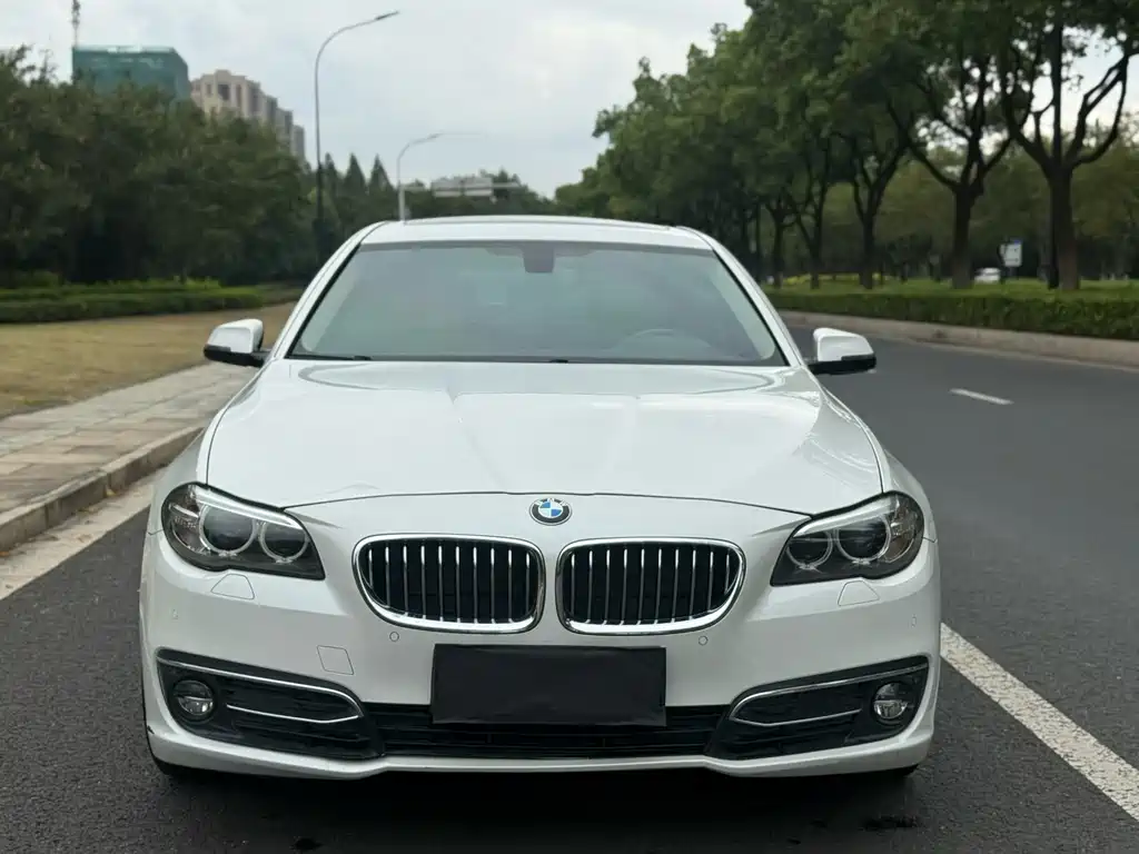 BMW 5 Series — миниатюра 2