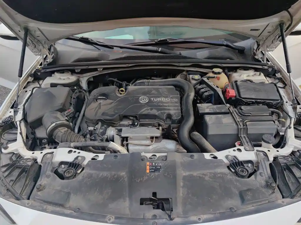 Buick Regal — миниатюра 21