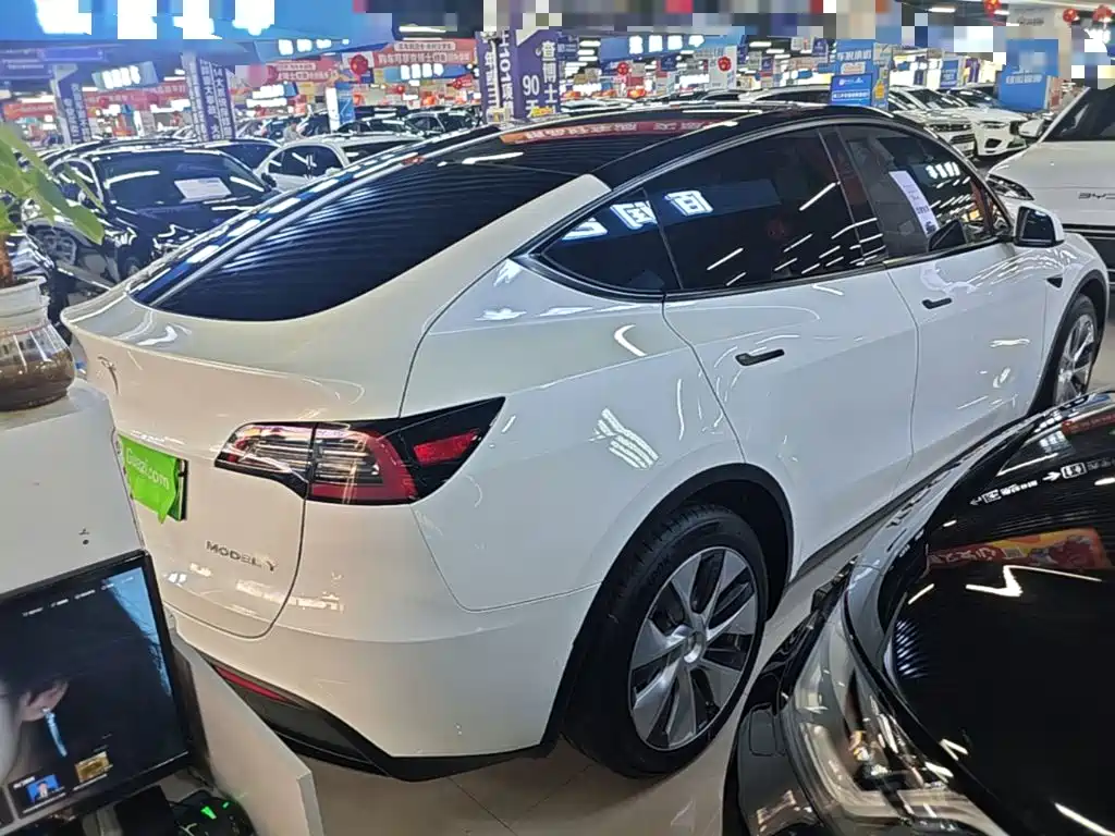 Tesla Model Y — миниатюра 7