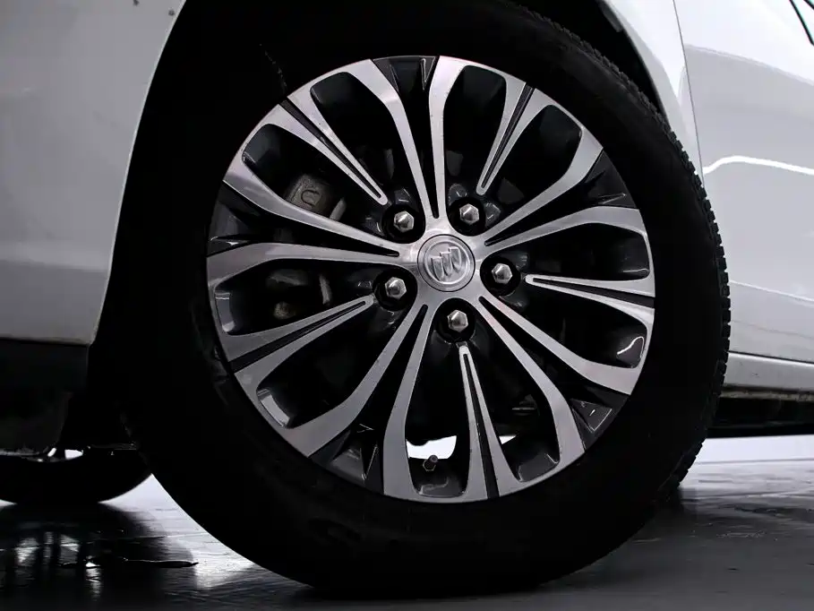 Buick GL8 — миниатюра 17