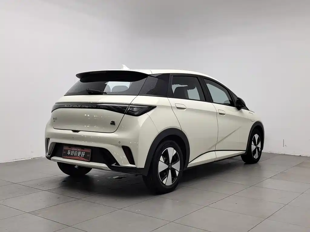 BYD Dolphin — миниатюра 2