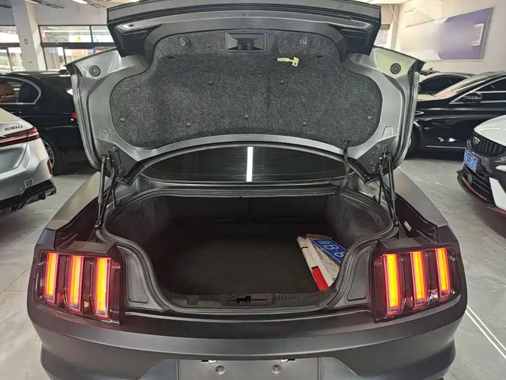 Ford Mustang — миниатюра 19