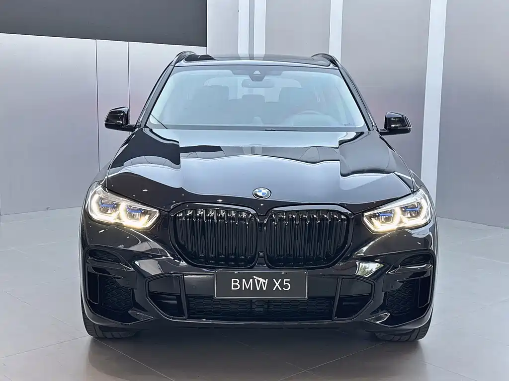 BMW X5 — миниатюра 2