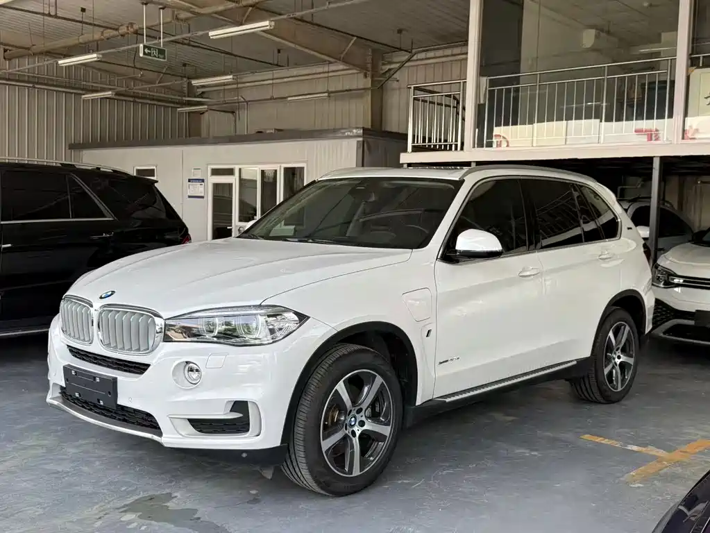 BMW X5 New Energy (Import)