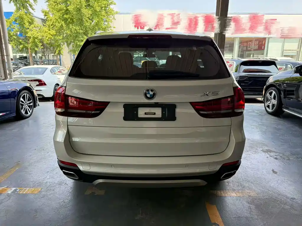 BMW X5 New Energy (Import) — миниатюра 13