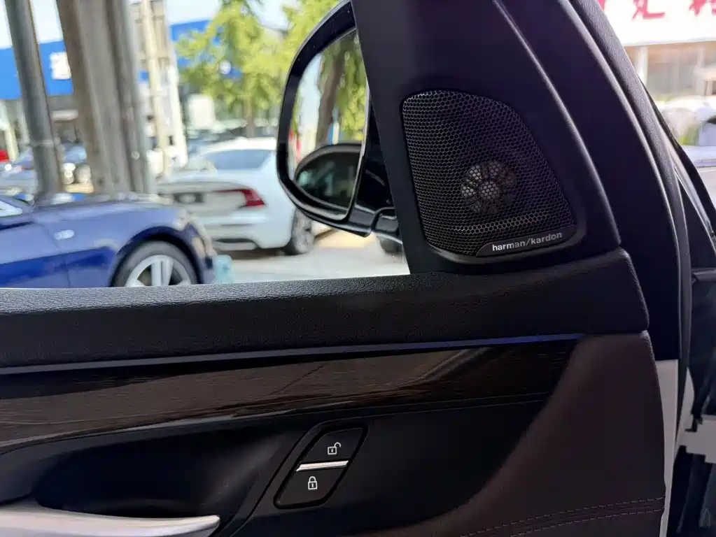 BMW X5 New Energy (Import) — миниатюра 8