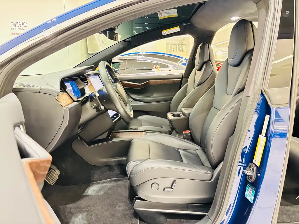 Tesla Model X — миниатюра 6