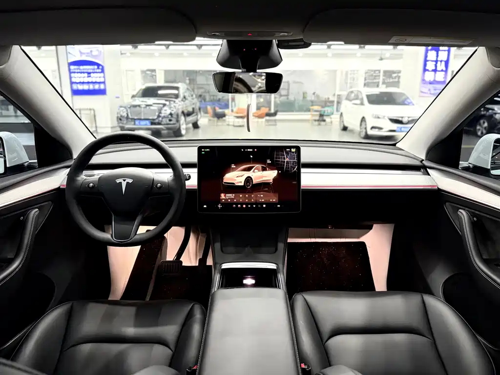 Tesla Model Y — миниатюра 11