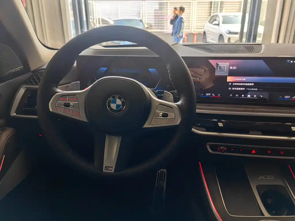 BMW X5 — миниатюра 9