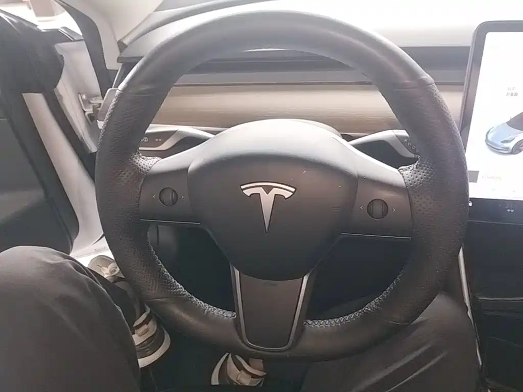 Tesla Model 3 — миниатюра 11