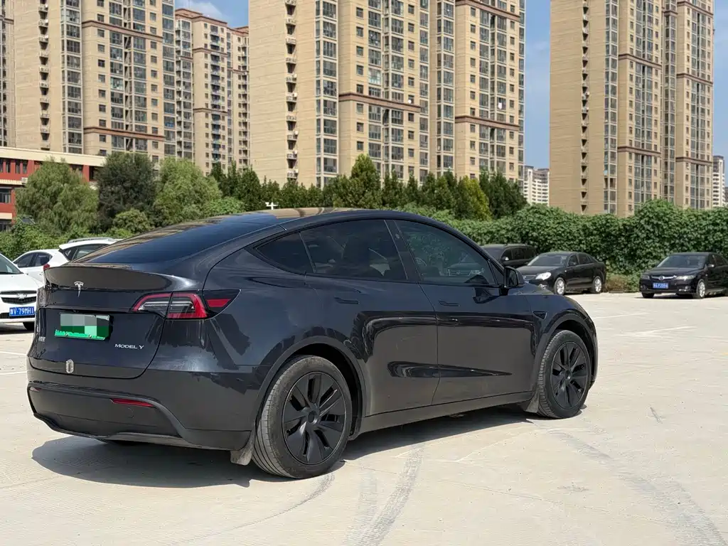 Tesla Model Y — миниатюра 6