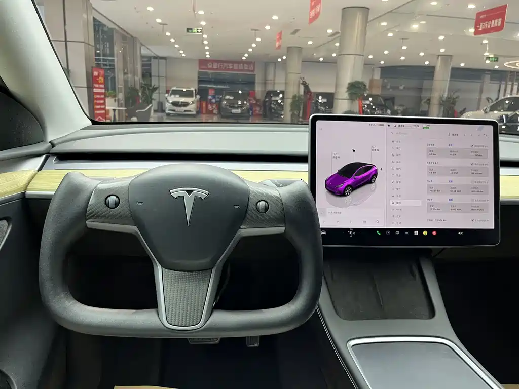 Tesla Model Y — миниатюра 5