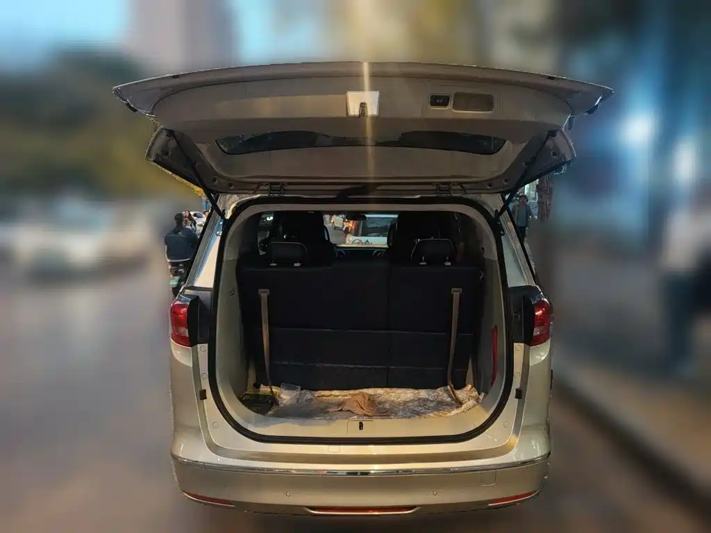Buick GL8 — миниатюра 20
