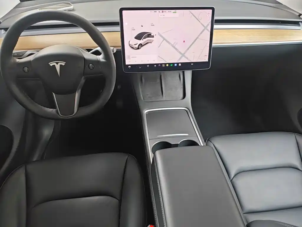 Tesla Model Y — миниатюра 13