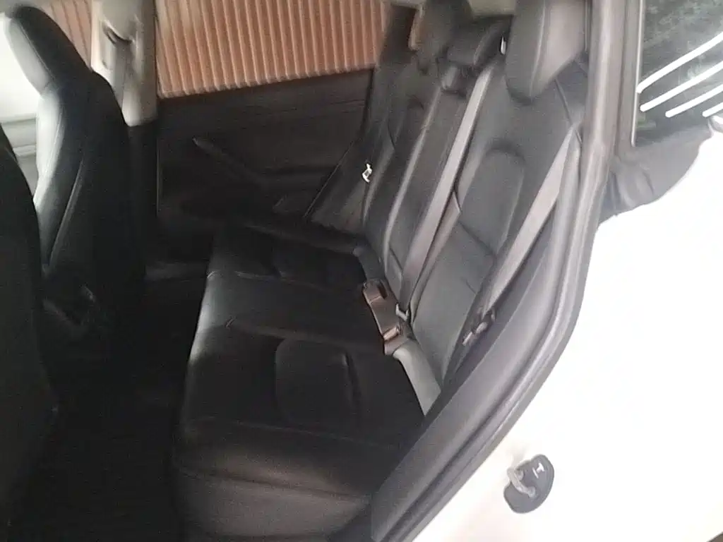 Tesla Model 3 — миниатюра 17