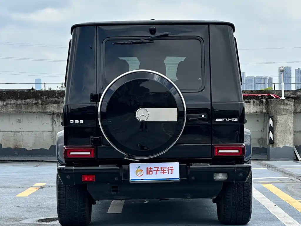 Mercedes-Benz G-Class G 2009 G 55 AMG