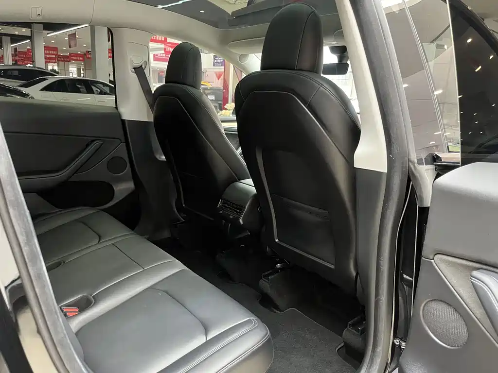 Tesla Model Y — миниатюра 11