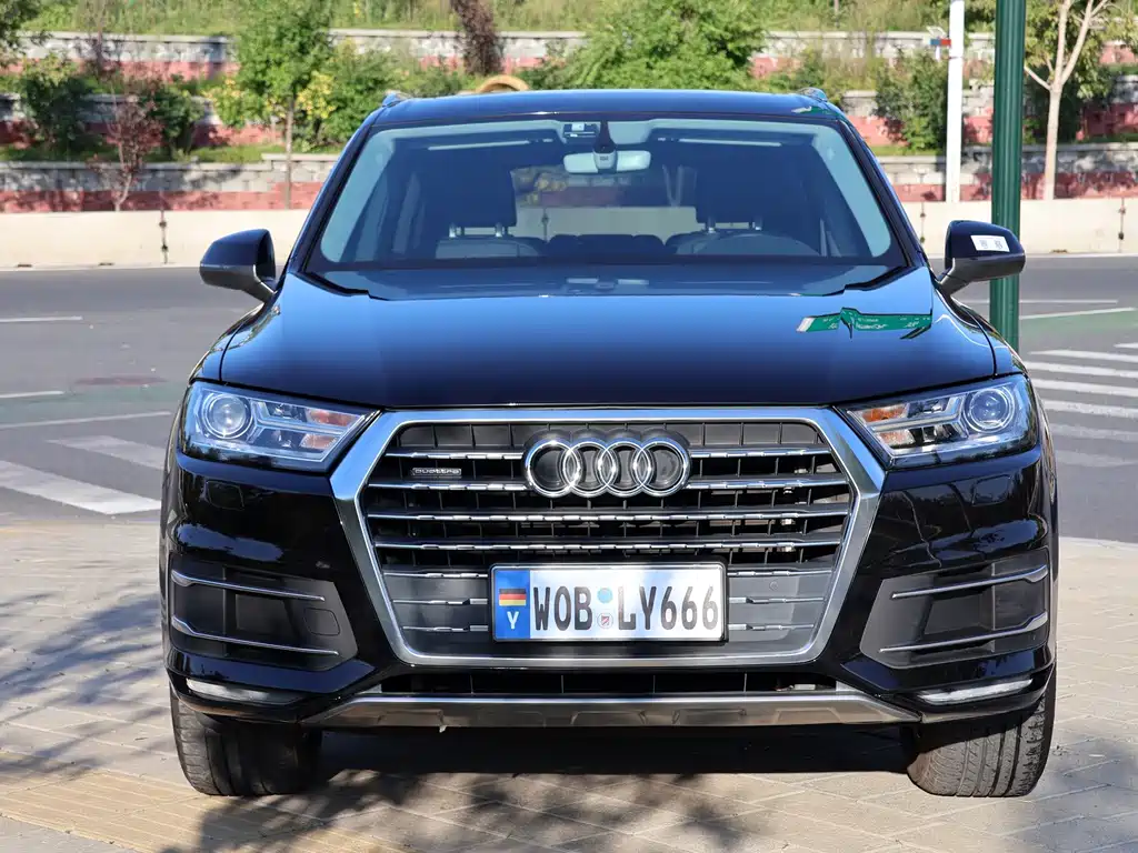 Audi Q7 — миниатюра 2