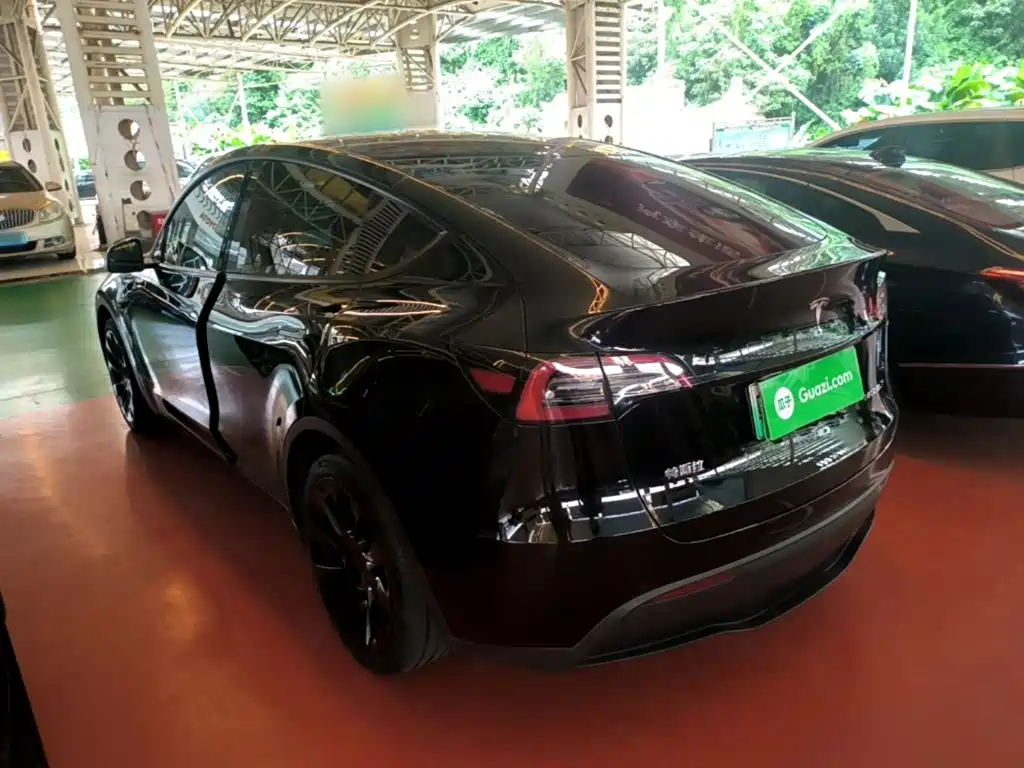 Tesla Model Y — миниатюра 5