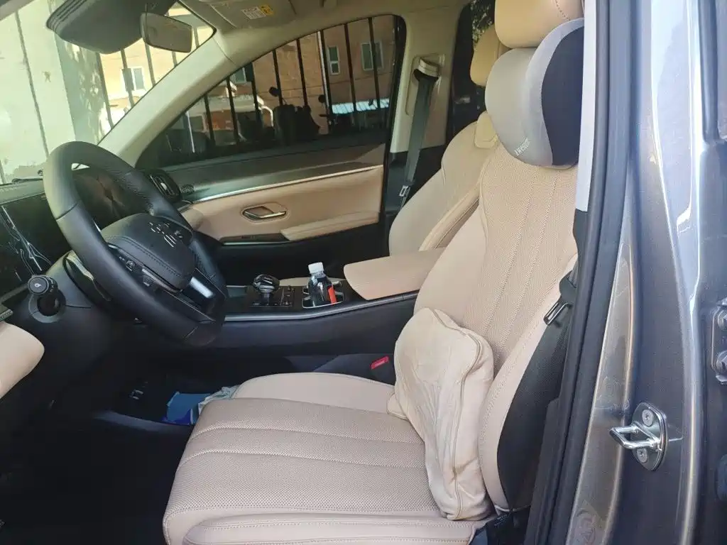 BYD Pro New Energy — миниатюра 8