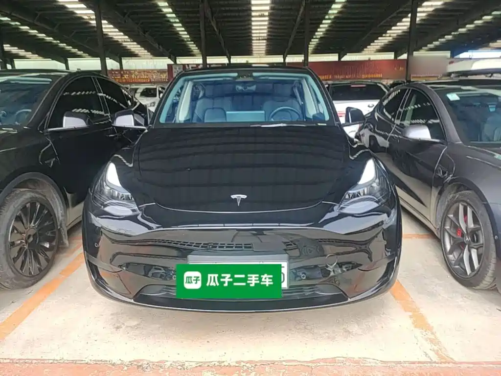 Tesla Model Y — миниатюра 3